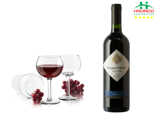 Ruou Vang Paso Del Sol Merlot 2013 Muabanruouvang 4