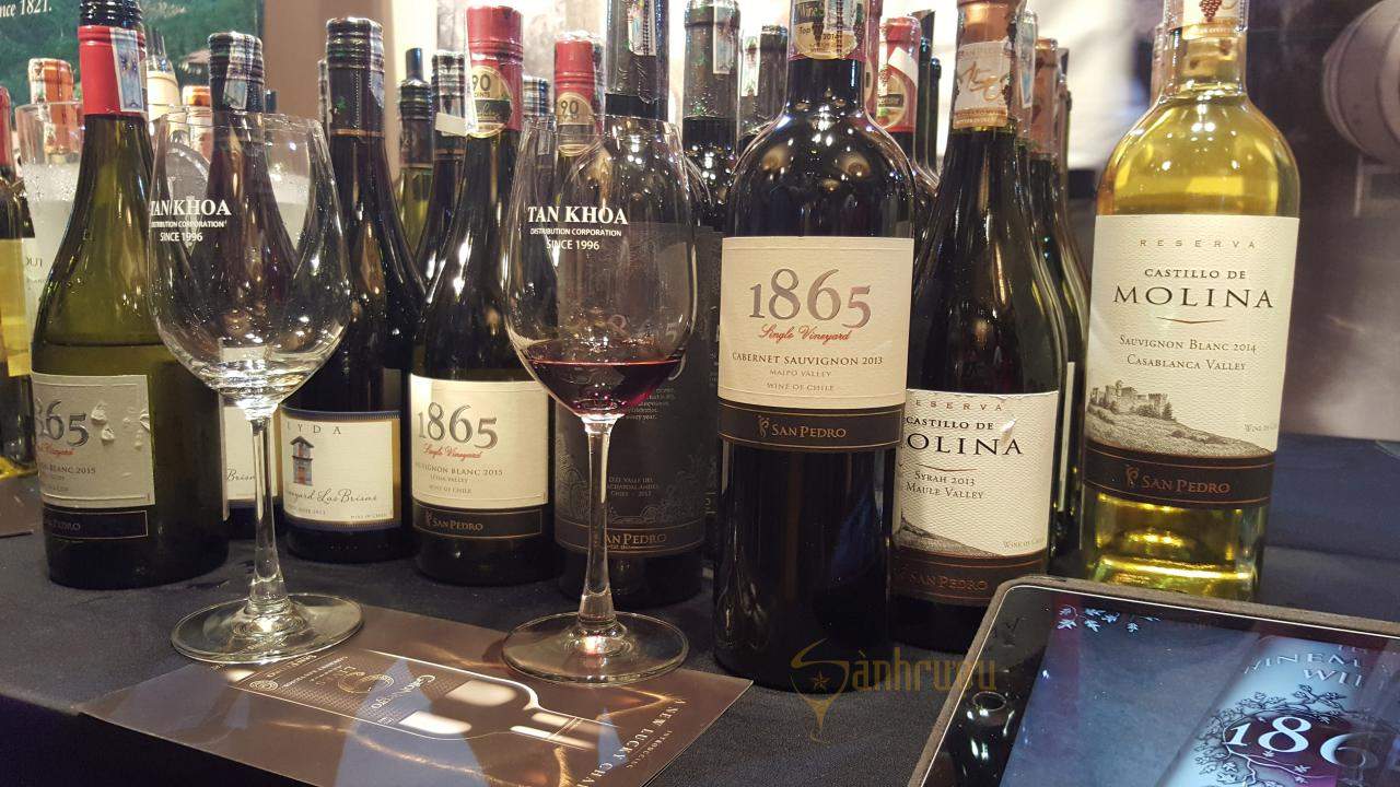 Vang Chile 1865 Single Vineyard Cabernet Sauvignon 1