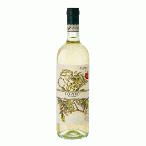 RƯỢU VANG TRẮNG Ý CARPINETO DOGAJOLO Chardonnay